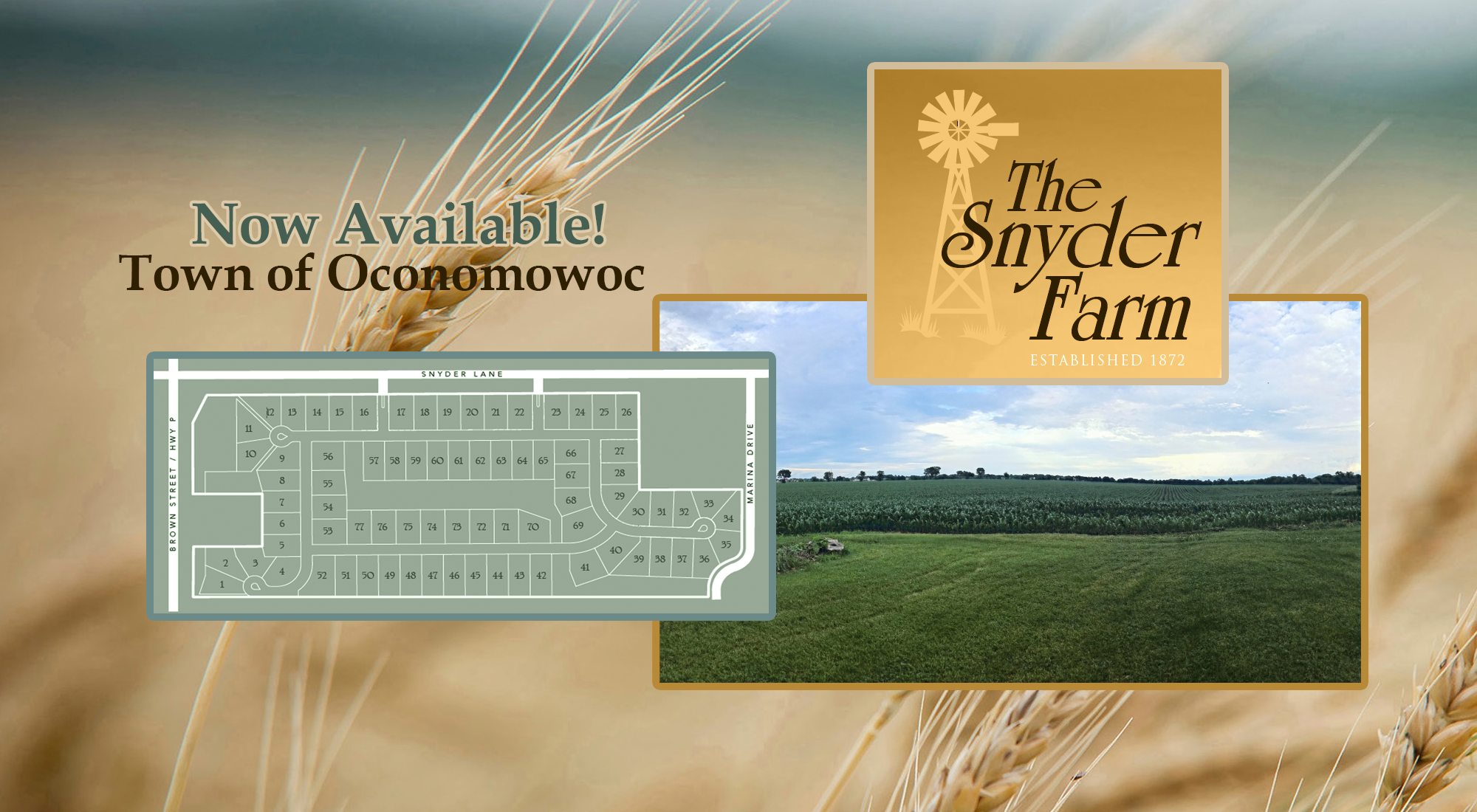 The Snyder Farm - Your dream home awaits! 